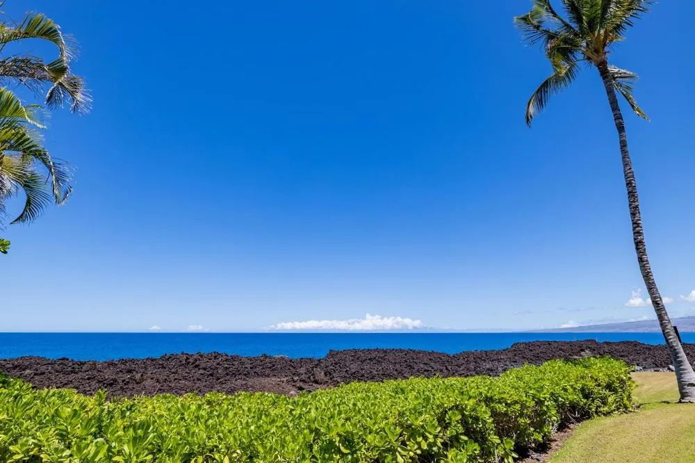Image 1 of Ocean Front 13E Halii Kai