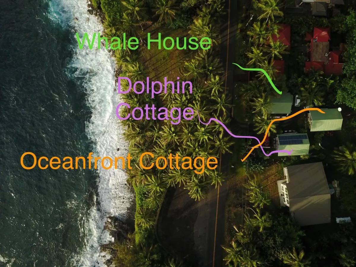 Image 6 of Oceanfront Cottage Near the Kalapana Lava Flows