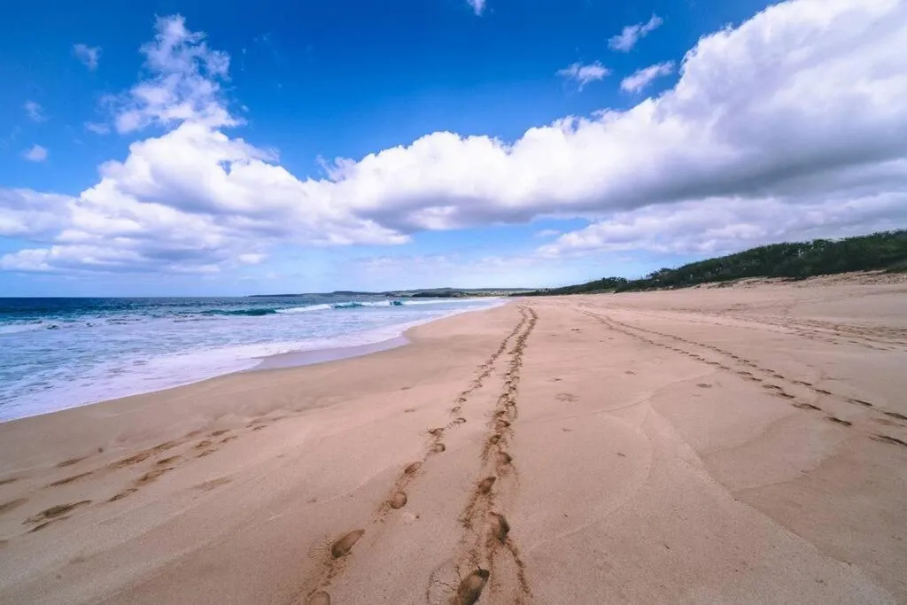 Image 2 of Oceanview Moloka’i Studio