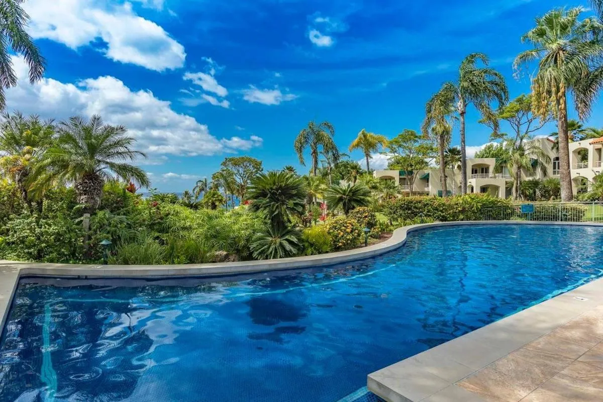 Image 5 of Palms at Wailea Two Bedrooms – Ocean View by Coldwell Banker Island Vacations