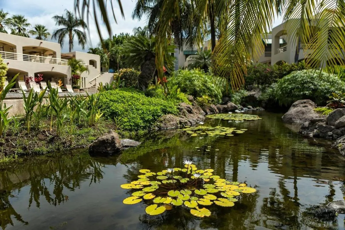 Image 1 of Palms at Wailea Two Bedrooms – Partial Ocean View by Coldwell Banker Island Vacations