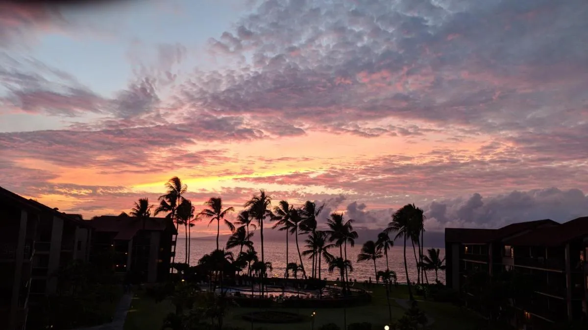 Image 1 of Papakea #H401