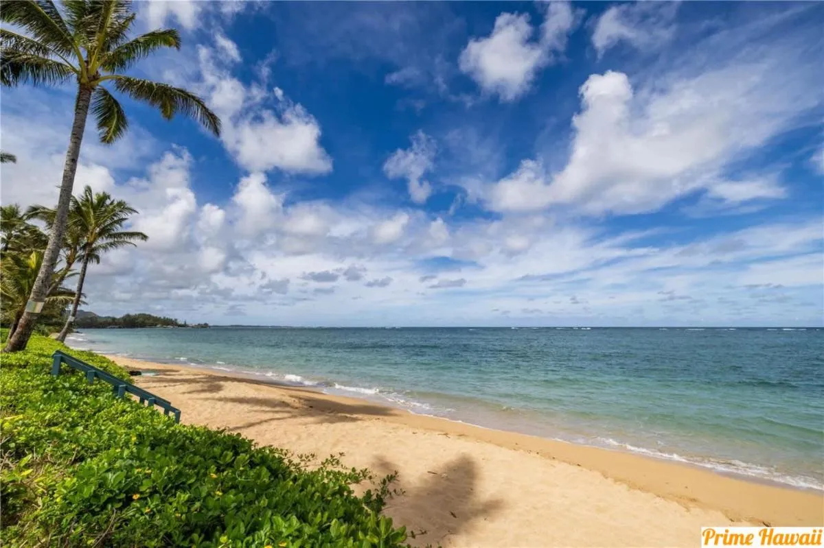 Image 6 of Pats at Punalu’u – Beachfront Studio 1