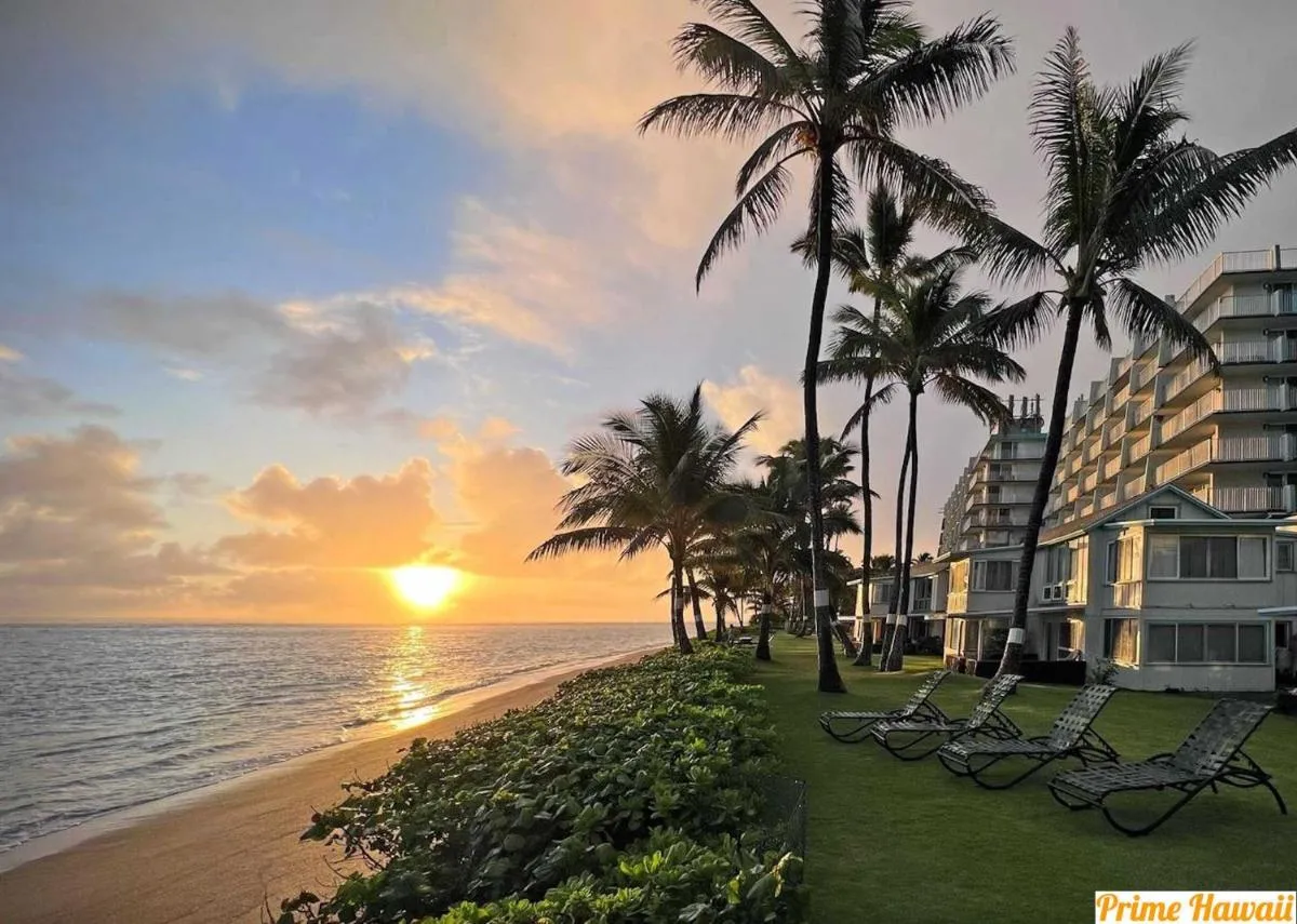 Image 3 of Pats at Punalu’u – Beachfront Studio 1