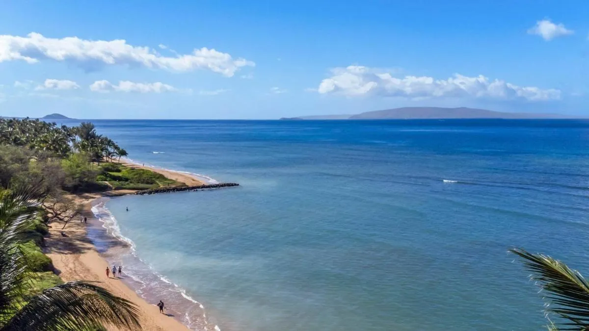 Image 2 of Perch – Kihei Garden Estates
