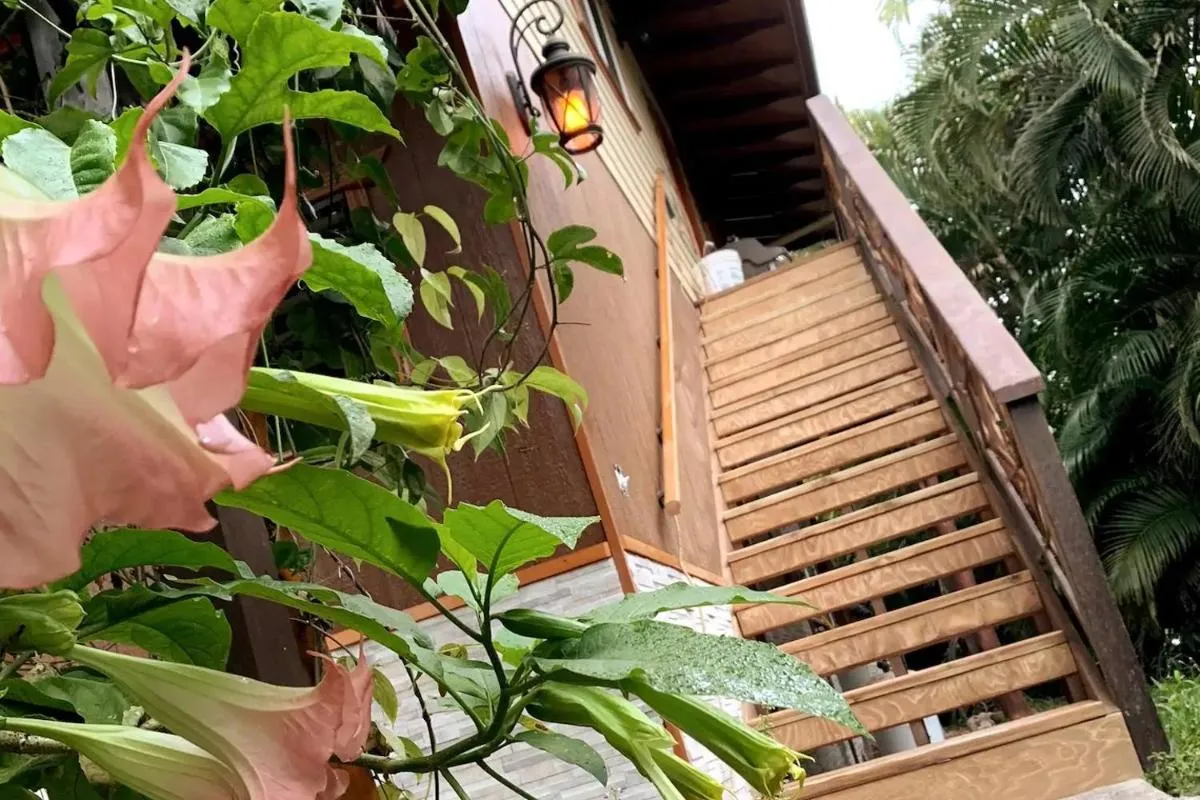 Image 2 of Phoenix Garden