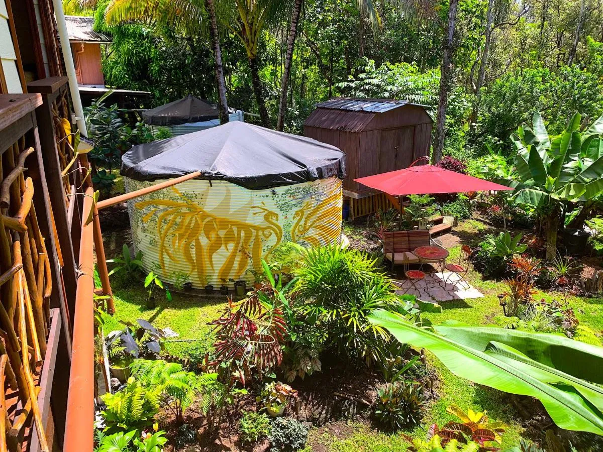 Image 5 of Phoenix Garden