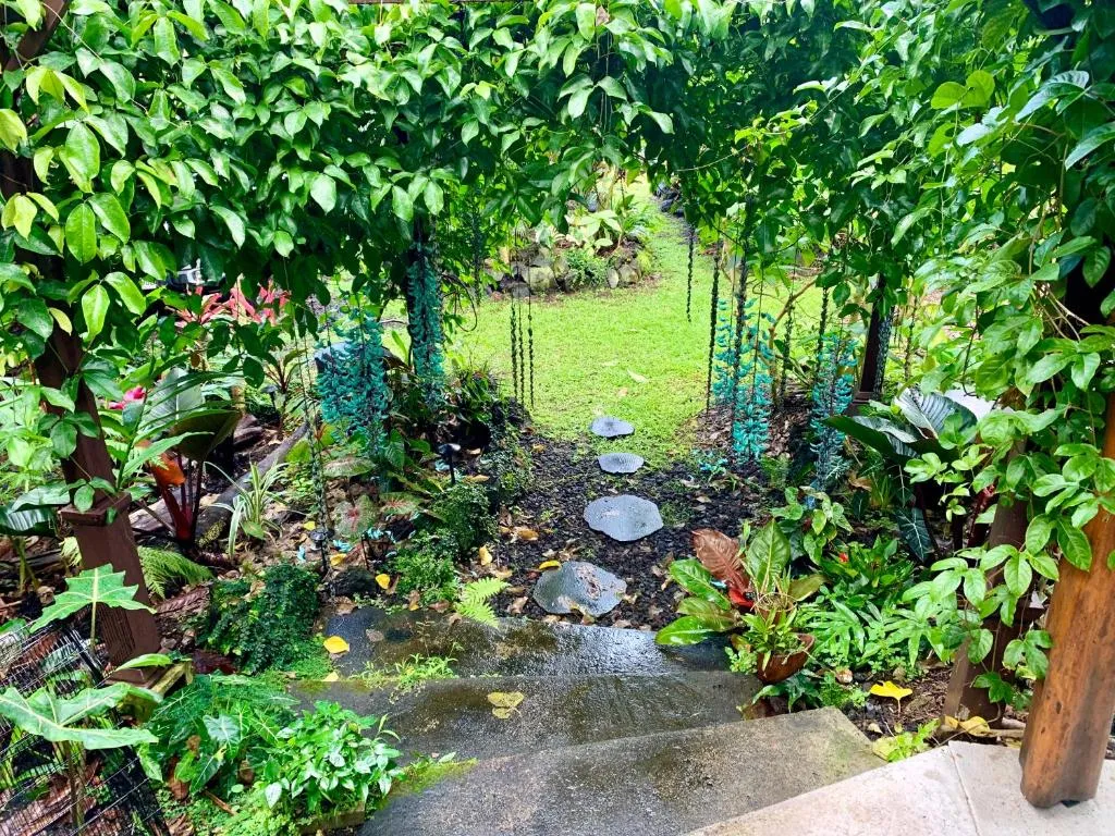 Image of Phoenix Garden