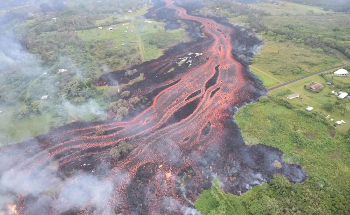 Image 4 of Puna Pod