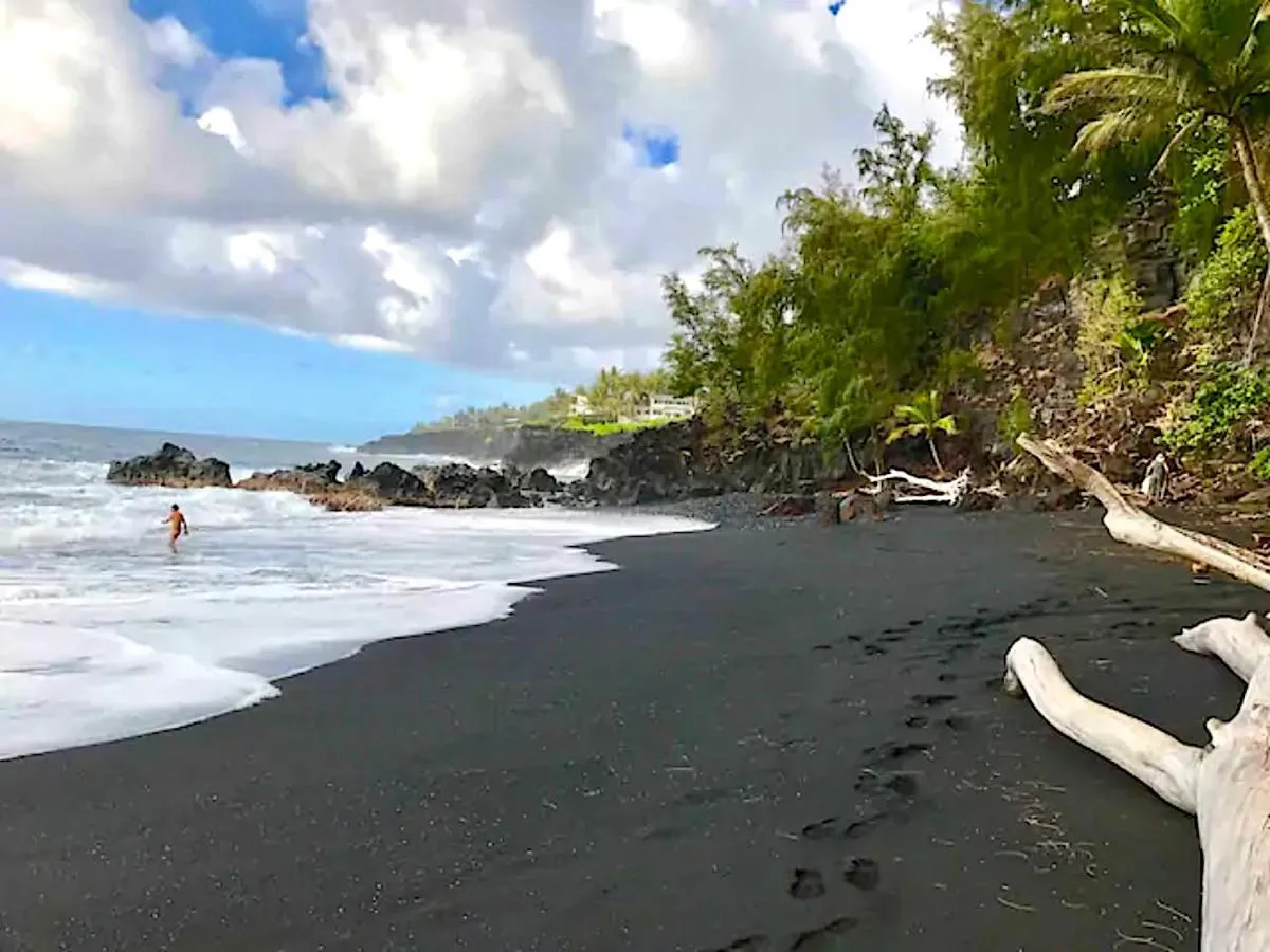 Image 6 of Puna Pod