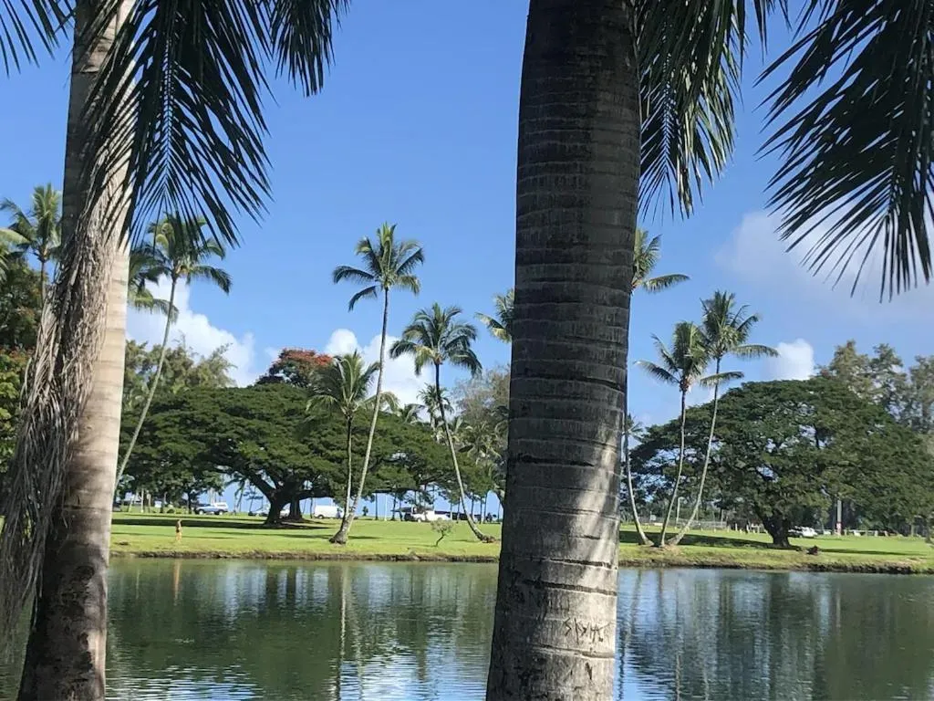 Image 6 of Stunning Views Best location in Hilo 2BR modern Condo