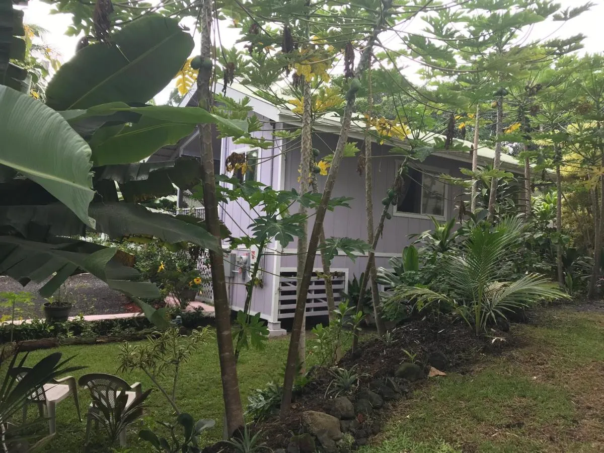 Image 6 of The Dolphin Cottage at Kehena Beach