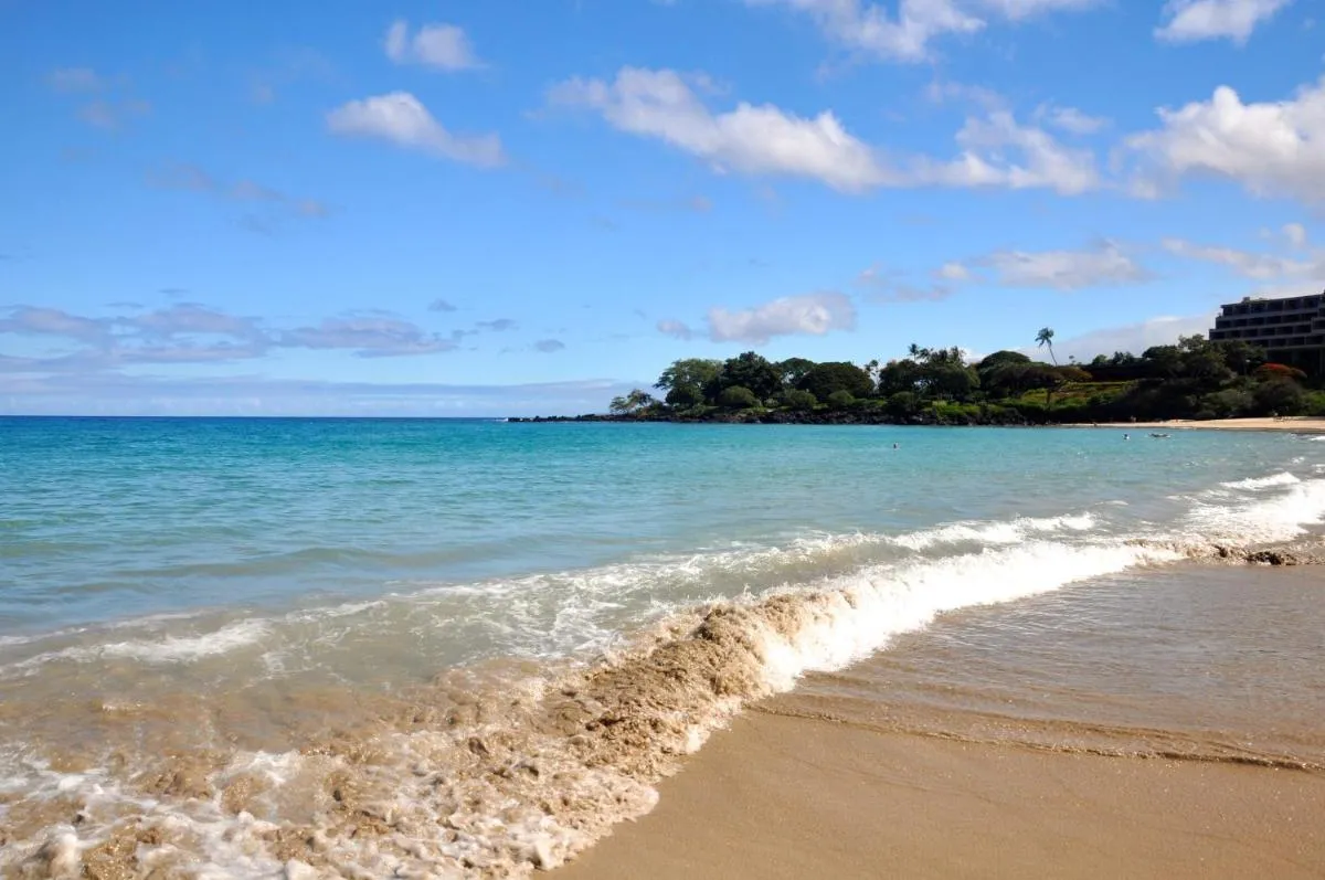 Image 2 of The Great Kona Escape