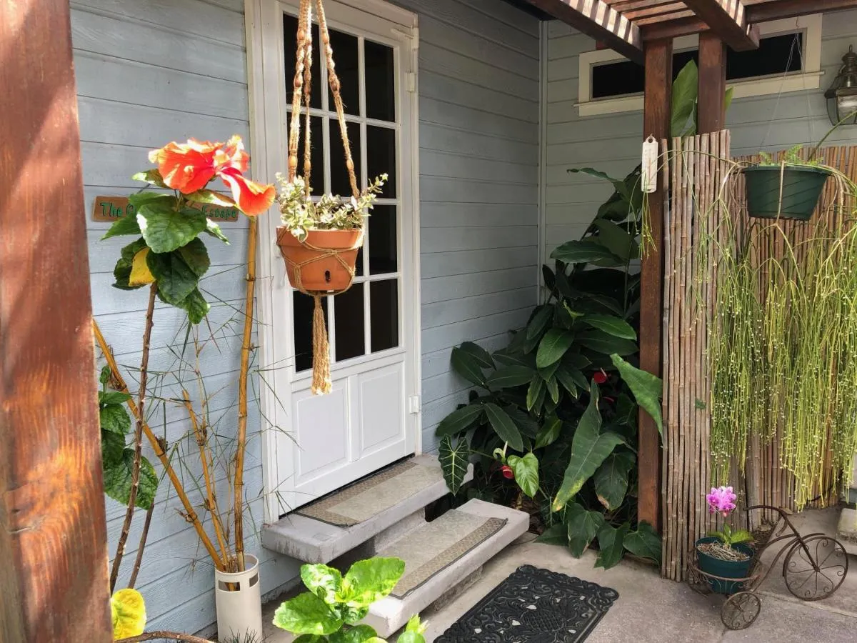 Image 4 of The Great Kona Escape