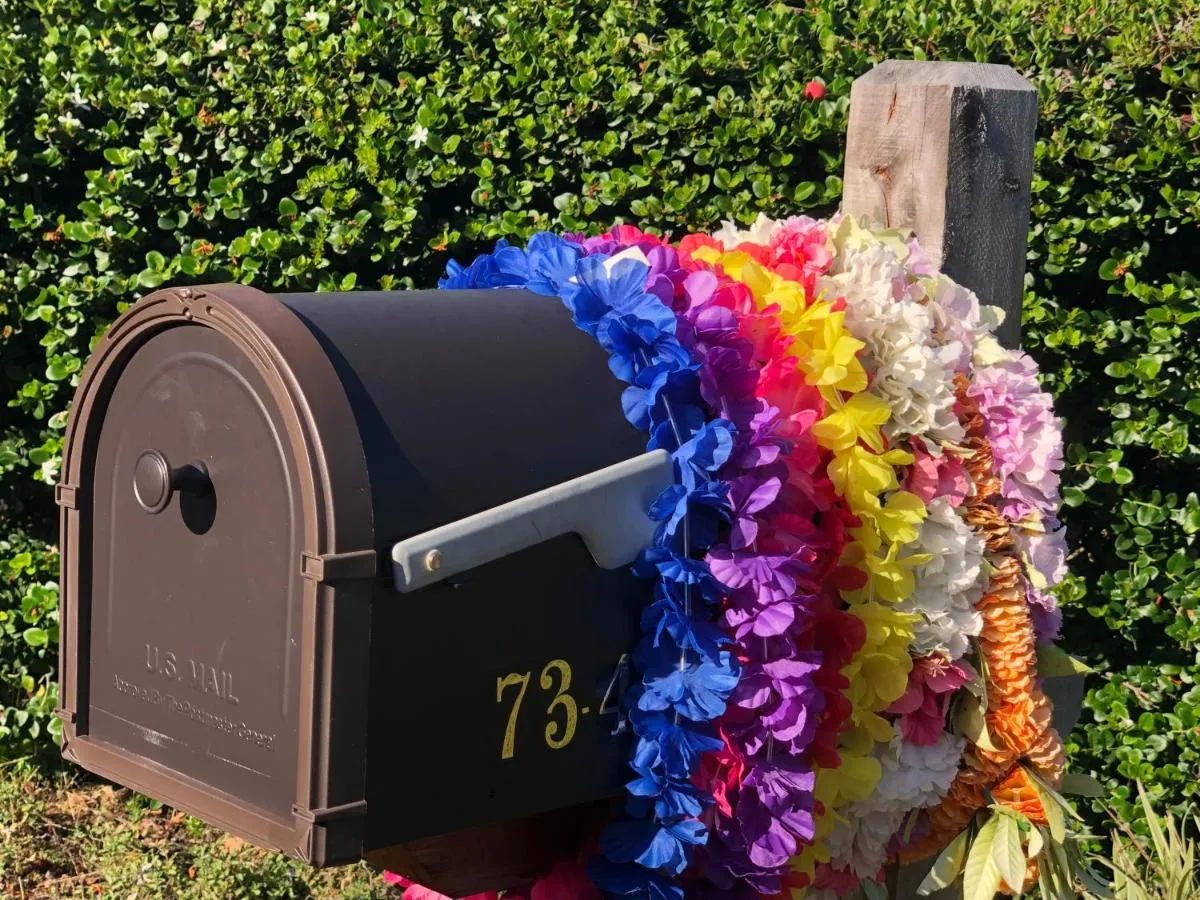 Image 1 of The Great Kona Escape