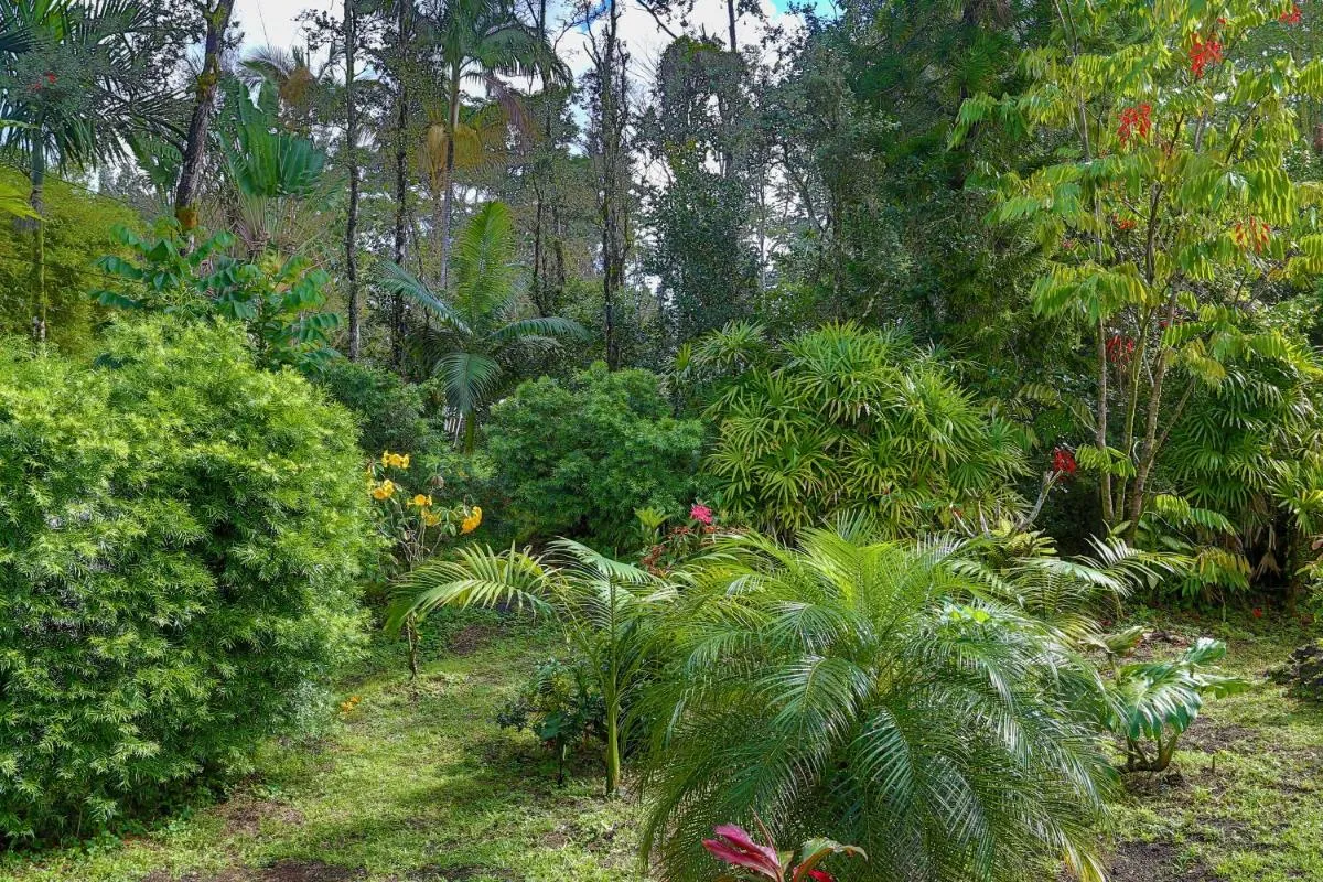 Image 4 of Tropical Anuenue Cottage