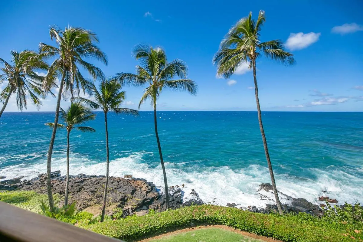 Image 1 of Unique Oceanfront Condo with AC- Alekona Kauai