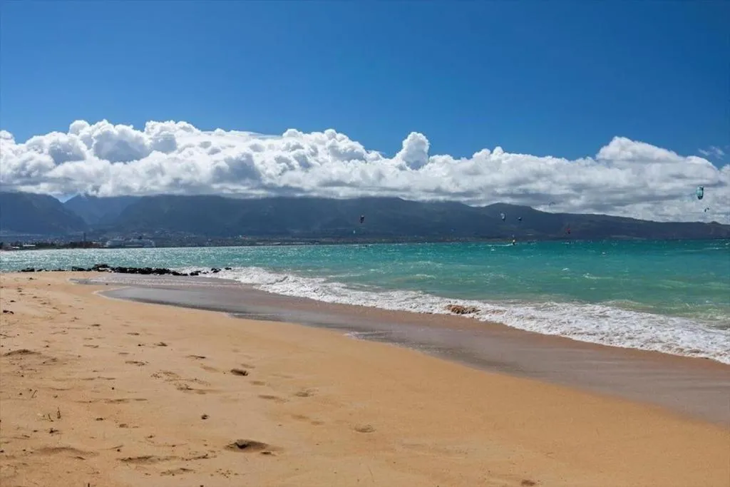 Image 2 of Unit 19 Maui Ohana Modern Studio