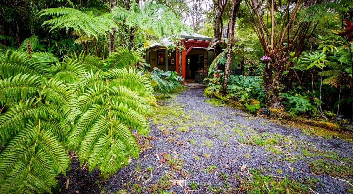 Image 5 of Volcano Mist Cottage