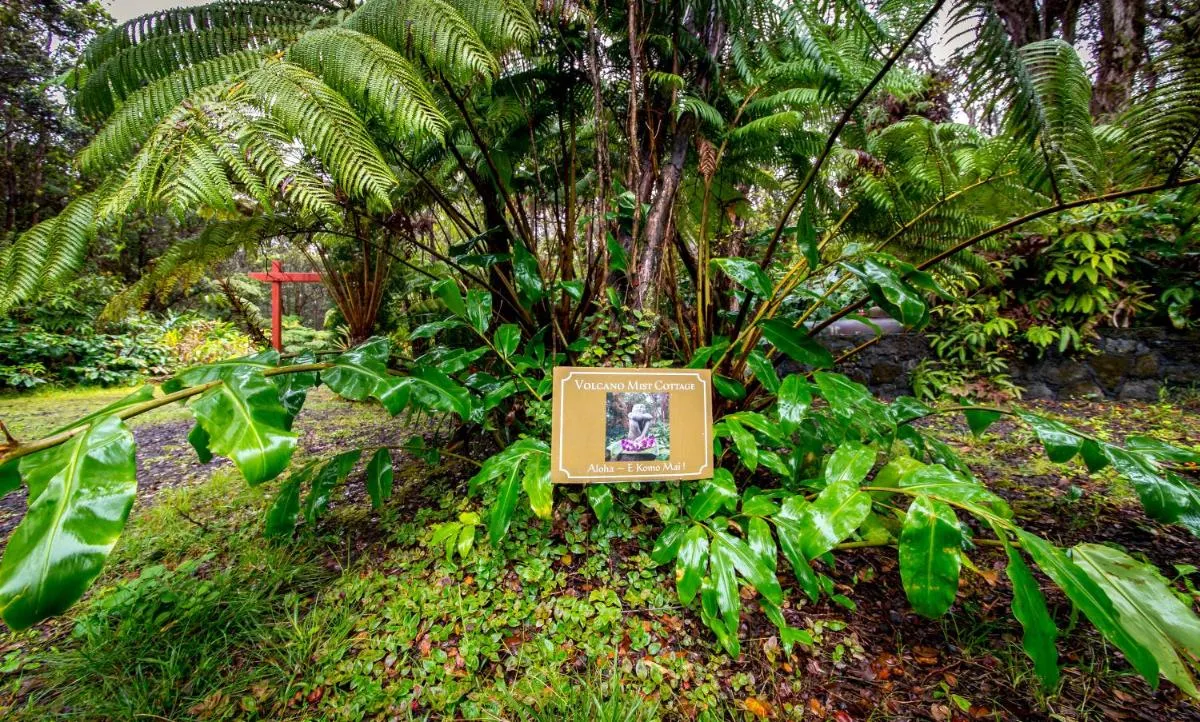 Image 2 of Volcano Mist Cottage