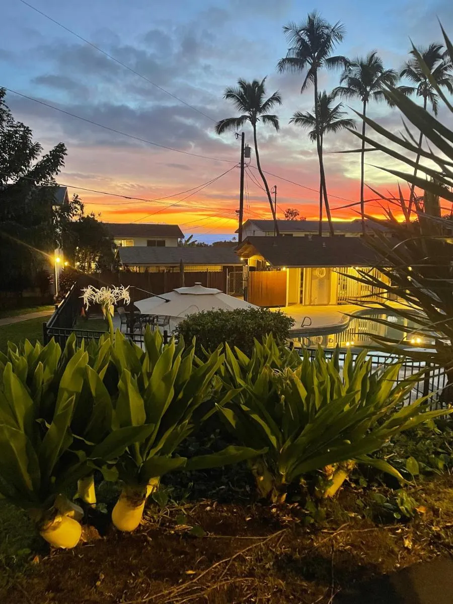 Image 3 of Your Slice of Paradise in Kona – Walk to Beach and Stores