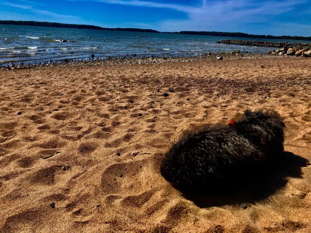 Image of 2room Kalasatama Helsinki