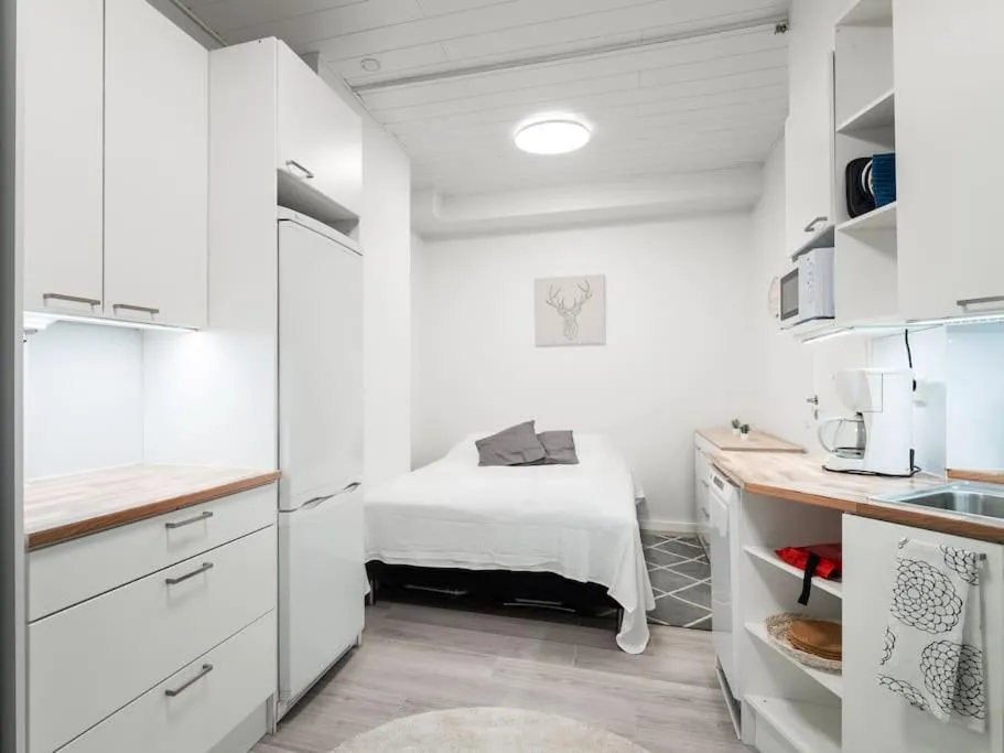 Image 1 of Cozy roomy studio flat next to tram stop @ Kallio