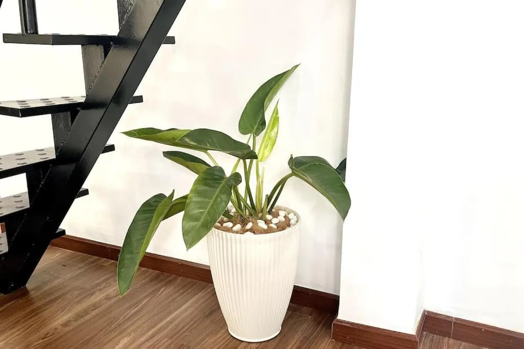 Image 4 of 80m2 apt, Bui Vien St, Central District 1, HCMC Saigon