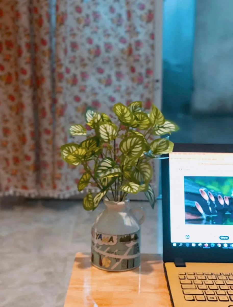 Image 5 of An’s Homestay – Peaceful, Cozy & Chill
