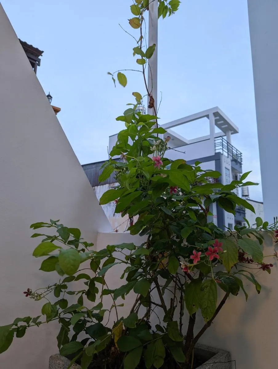 Image 4 of Private Homestay District 1, Tan Ðinh Ward, HCM City