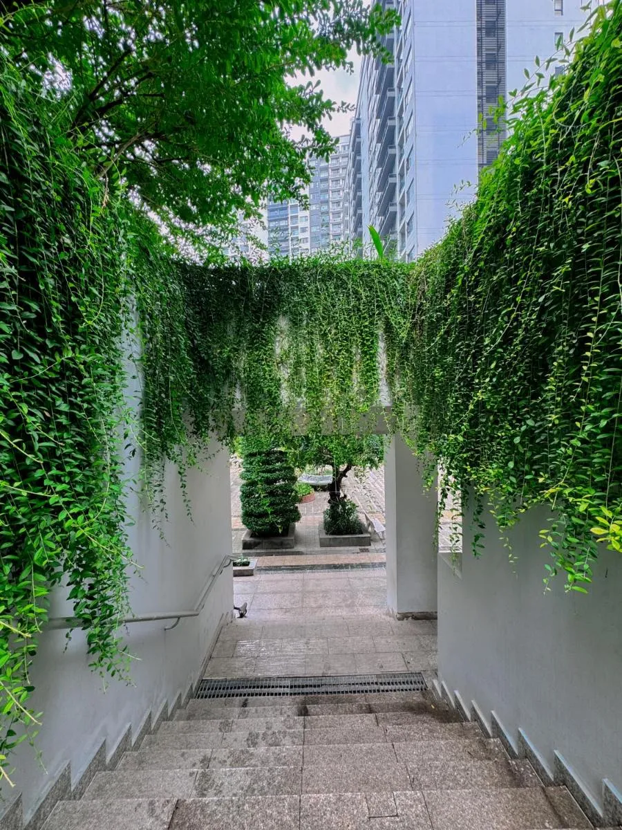 Image 5 of TPHomes New City