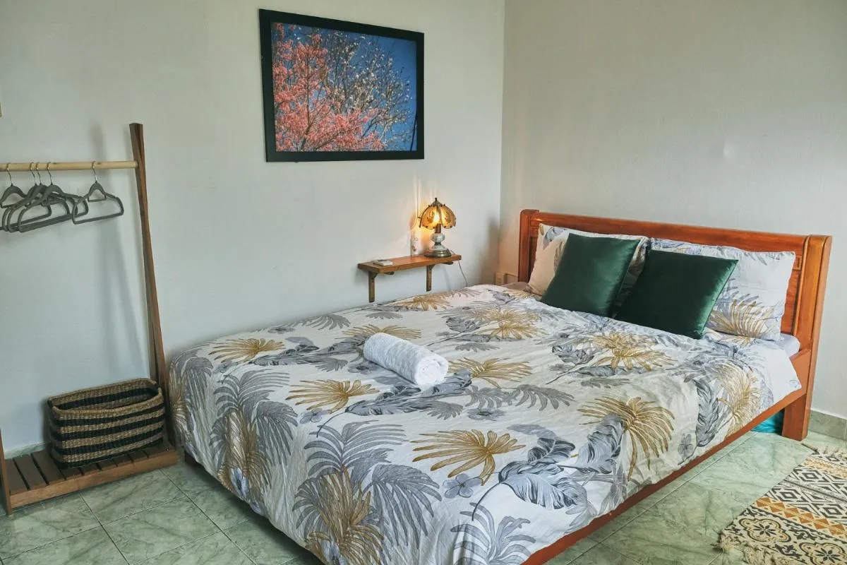 Image 3 of #211 She’s House – Tropical house in D1 – perfect location