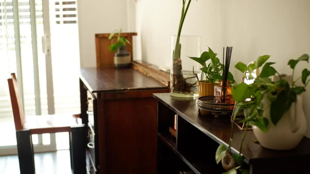 Image 2 of Serene Studio in Phu Nhuan Above Coffee Shop