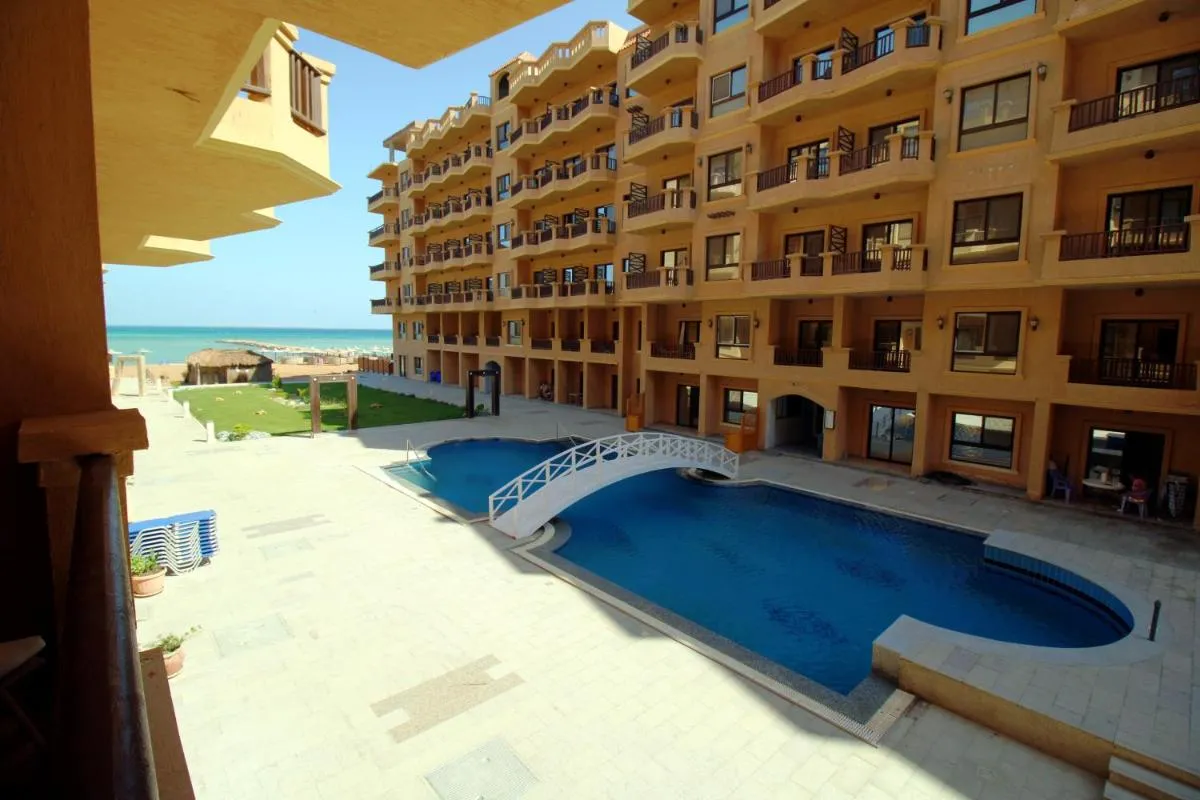 Image 1 of BeachView Turtles