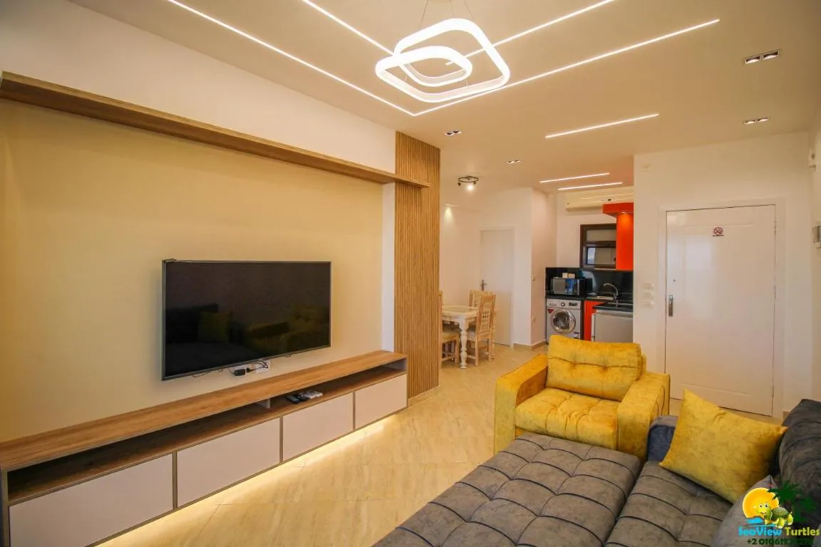 Image of BeachView Turtles