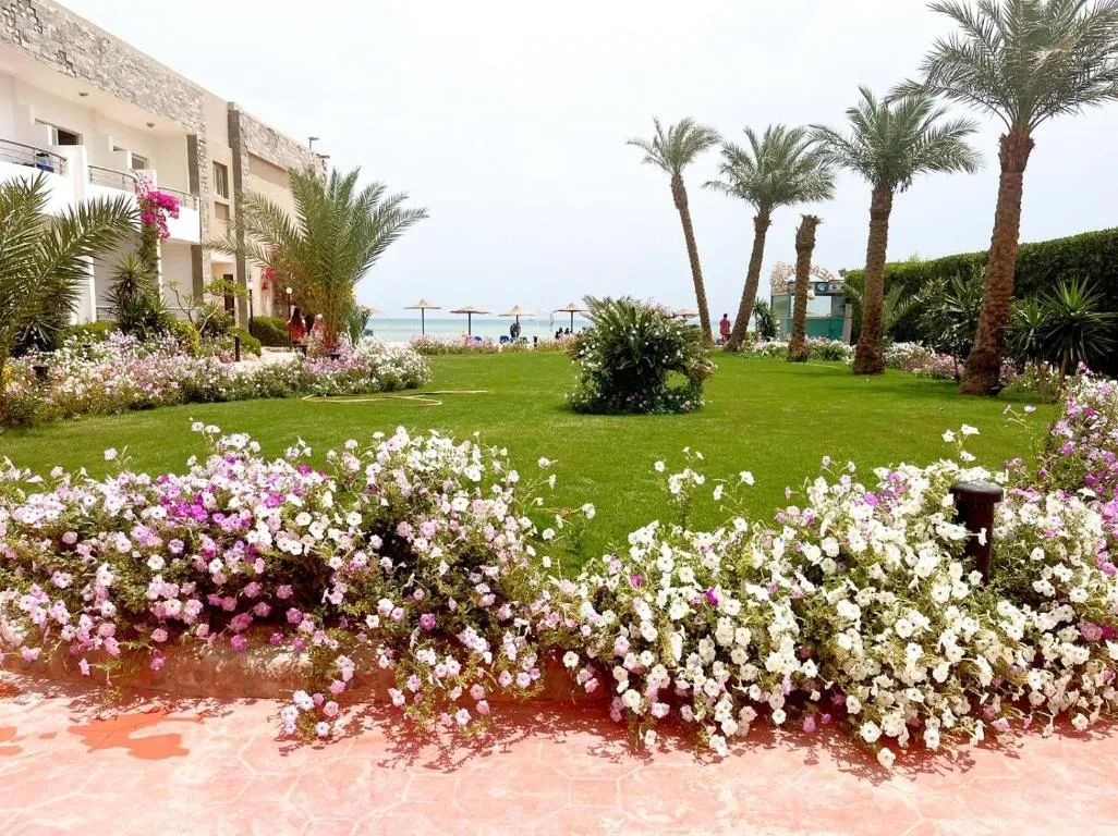 Image of Cecelia Suites Hurghada