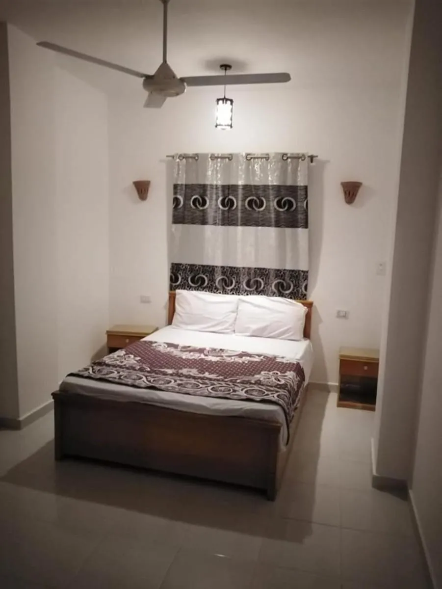 Image 4 of FLOWER OF LIFE – Red Sea