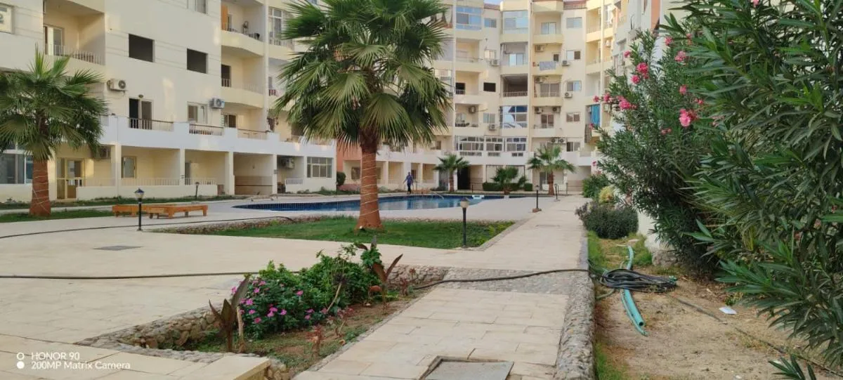 Image 6 of Marvel lotus