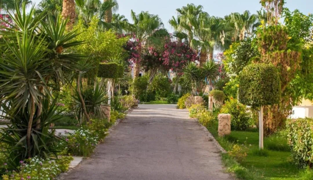 Image 4 of Mirage Bay Hotel & aquapark All-Inclusive