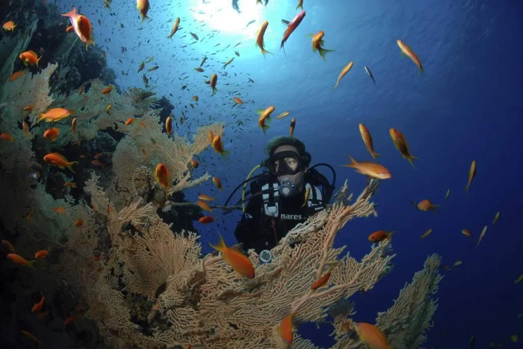 Image 5 of Modern Soma Bay 2BR Villa w sea views, beach & pool access