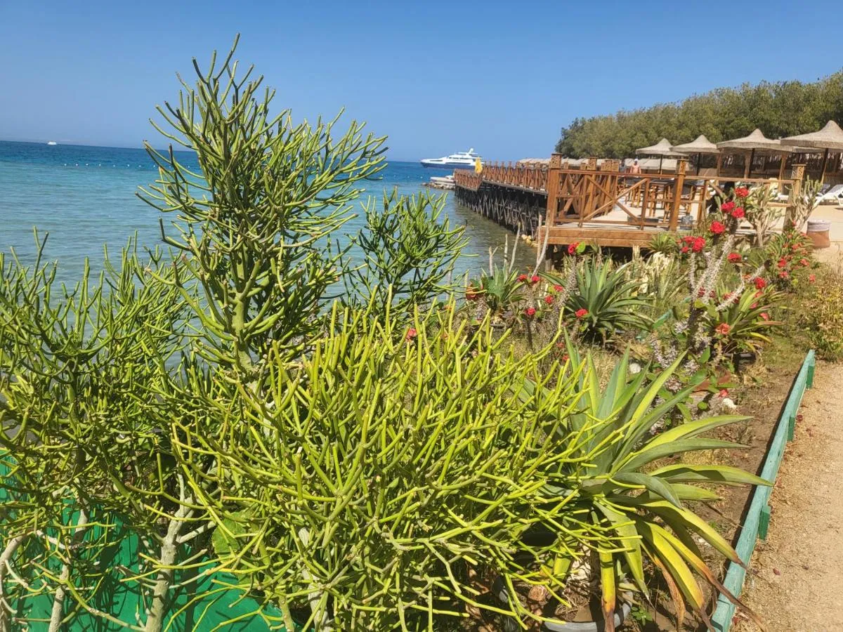 Image 6 of Moon suites by vision