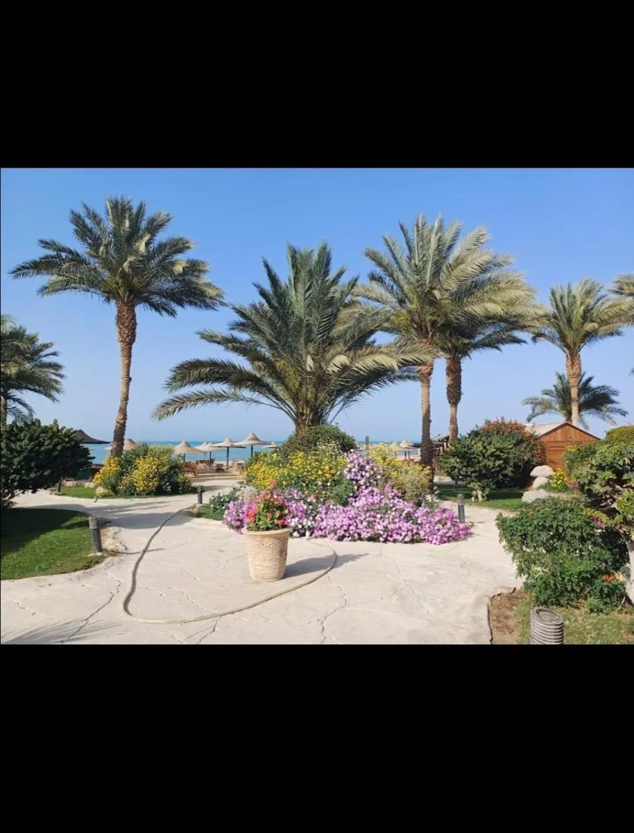 Image 5 of Palma resort hurghada