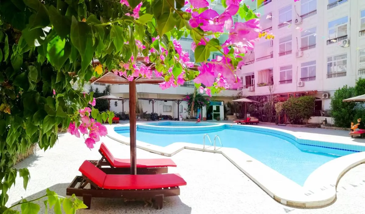 Image of Solider Dali