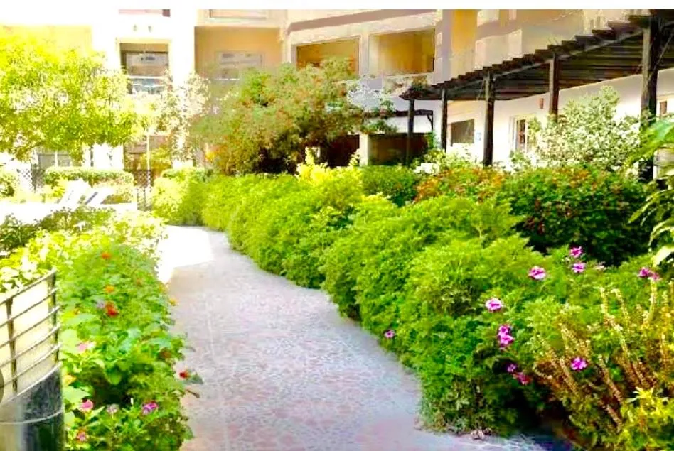 Image 1 of Sunny studio with 3 swimming pools Florenza Hurghada