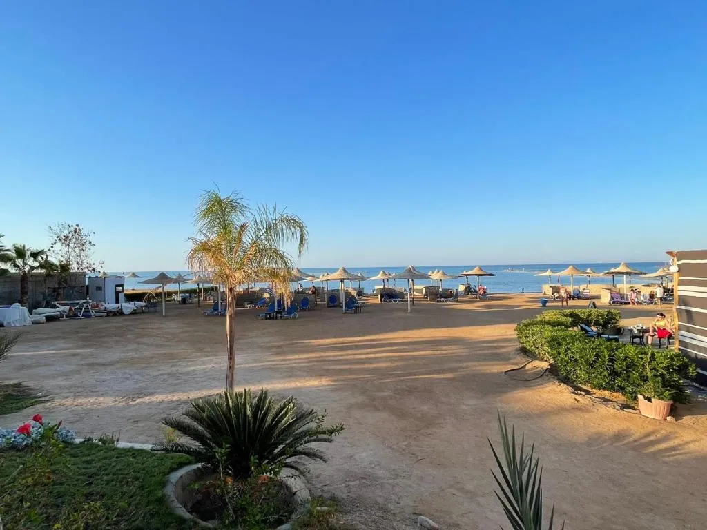 Image of Turtles Paradise