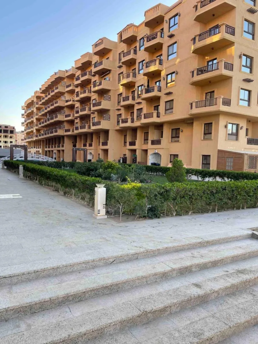 Image 1 of Turtles Paradise