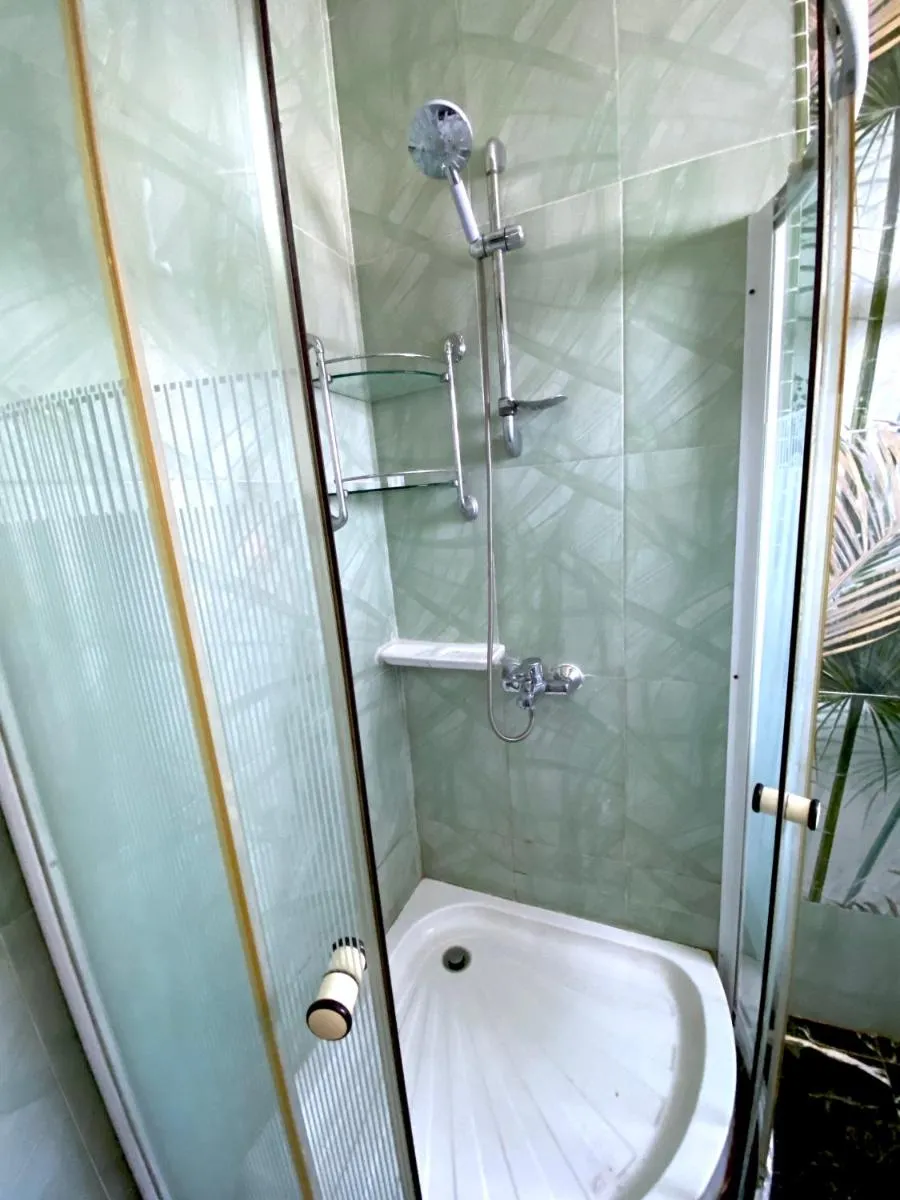 Image 3 of Zebra House Hurghada center