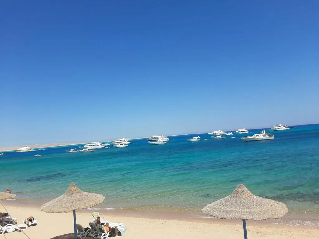 Image of apartment one bed room free WiFi 20