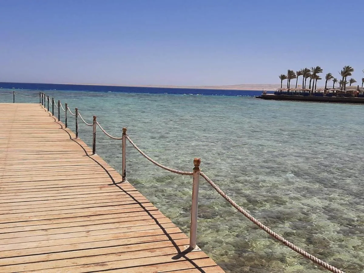 Image 2 of apartment one bed room free WiFi 20