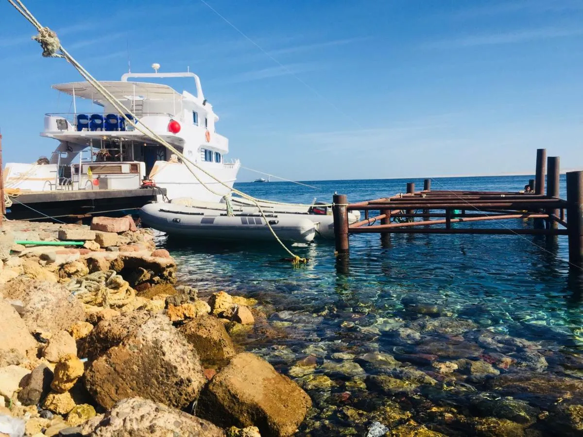 Image 6 of Cleopatra Style City Center